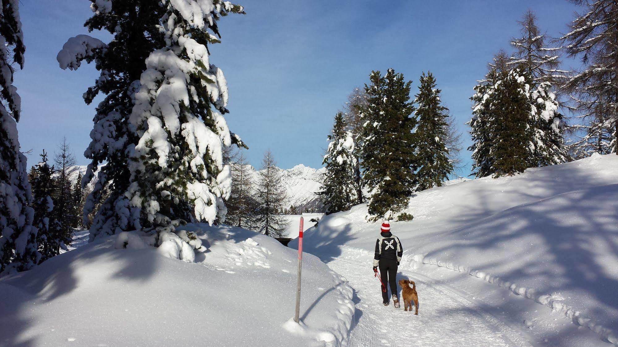 Bed & Breakfast Abis - Dolomites リオ・ディ・プステリーア エクステリア 写真